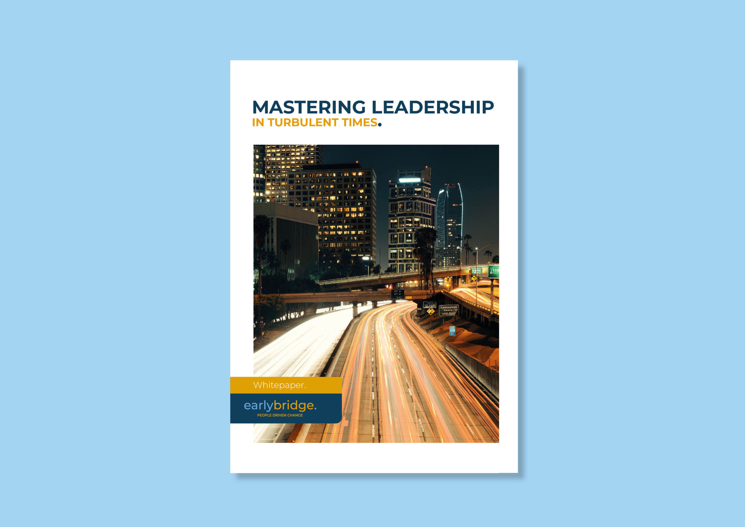 Mastering Leaderhsip white paper