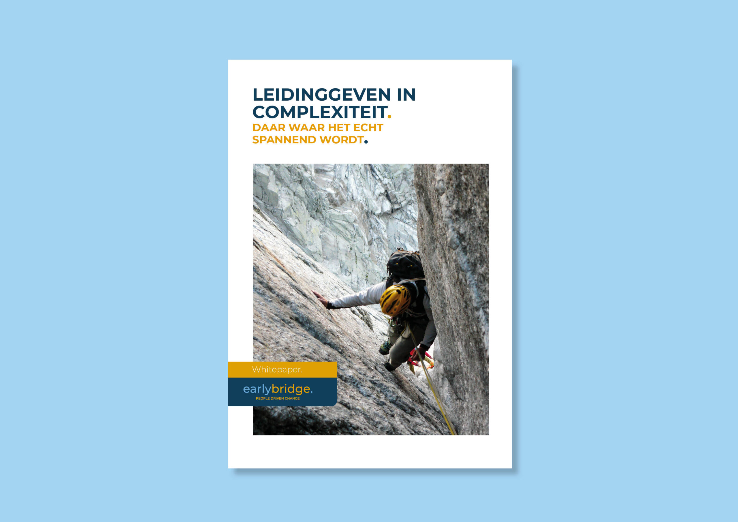 Whitepaper leidinggeven in complexiteit